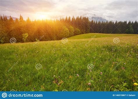 Panoramic View Of Beautiful Landscape In The Alps With Fresh Green