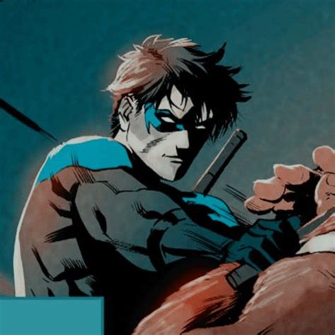 Pin By Herovalkyrie On Profile Pictures In 2021 Nightwing Icons Dc