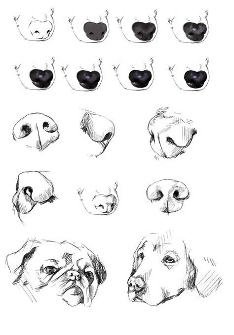 Dog Drawing Tutorial Dog Portraits Painting Dog Portraits Art