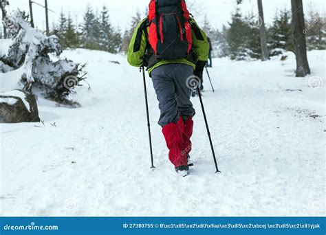 People Hiking On Snow Trail In Winter Stock Image Image Of Legs