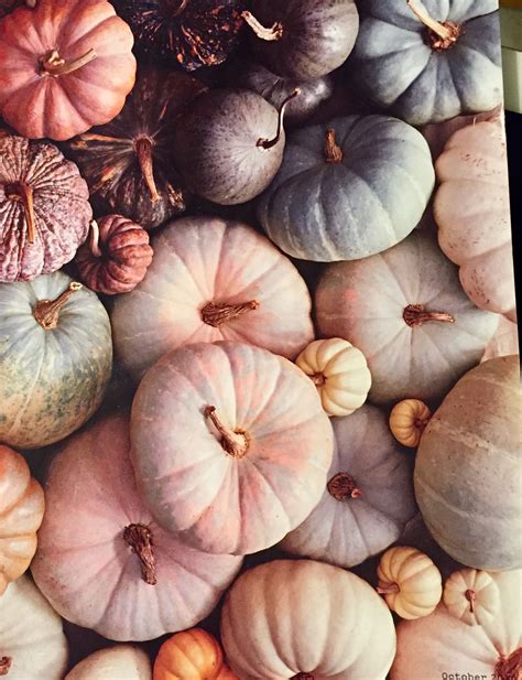 Pin By Tayler Griffiths On Halloween Pumpkin Wallpaper Cute Fall