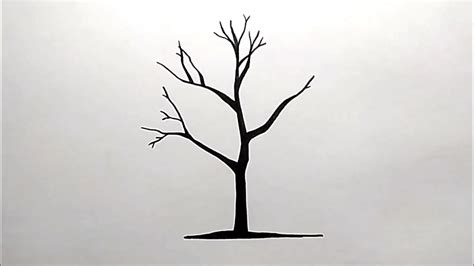 Как нарисовать дерево простым карандашом легко Деревология