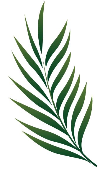 Printable palm leaf template free printable palm leaf pattern. Holy Week - Spring Hill Presbyterian Church