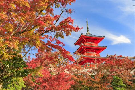 See Kyoto In Autumn 11 Places To Visit For Foliage In 2020 Matcha Japan Travel Web Magazine