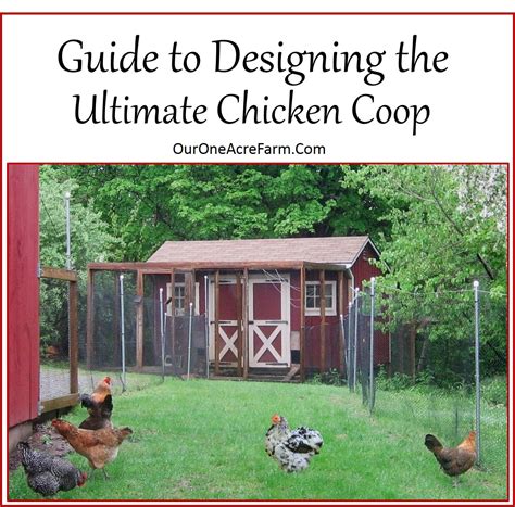 building chicken coops from pallets chicken coop how to