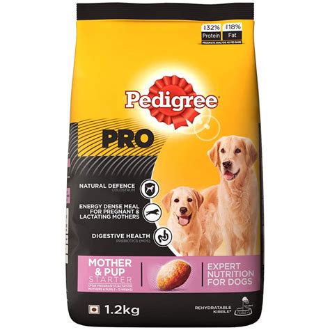 Feed Your Furry Mama To Be Right Top 10 Pregnant Dog Food Products
