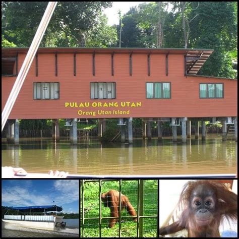 Bukit merah laketown resort is in front of a huge lake (lake. 6) Pulau Orang Utan, Bukit Merah Laketown Resort | D_08
