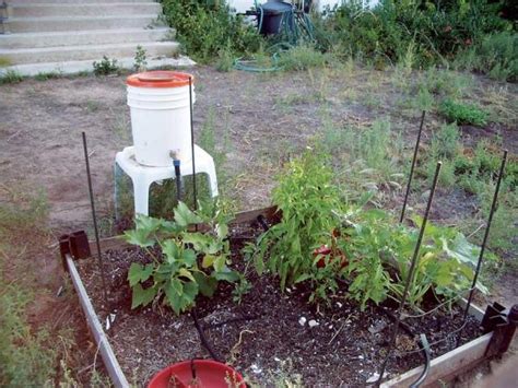 Country Lore Low Cost Garden Greywater System Diy Mother Earth News