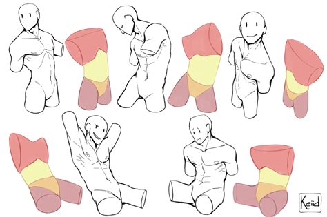 Male Torso Figure Drawing Reference Body Reference Drawing Drawing