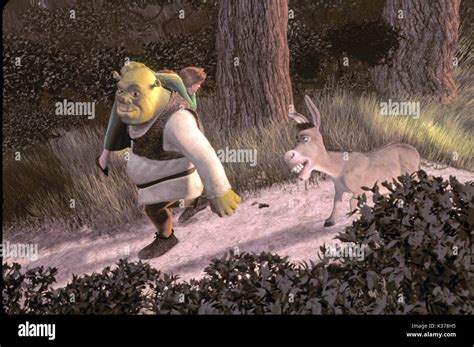 Shrek Dreamworks Skg Picture From The Ronald Grant Archive Shrek