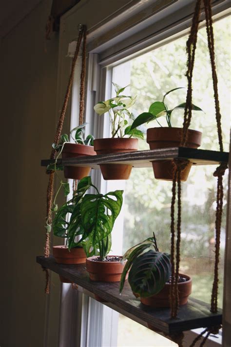 Diy Hanging Plant Shelf Living The Gray Life