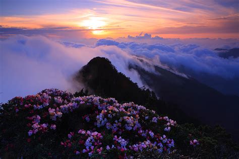 Hehuanshan National Forest Recreation Area Friendly Muslim Tourism