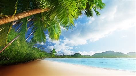 X X Coast Beach Tropical Paradise Sand View Summer Summer Ocean