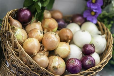 Are You Storing Onions The Wrong Way Learn How To Store Every Variety