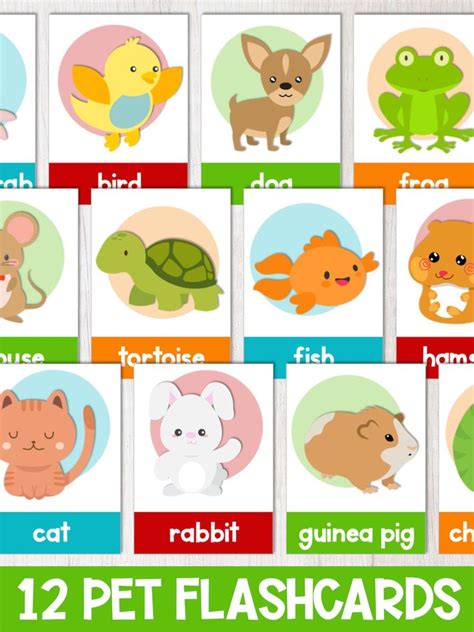 Pet Flash Cards Flashcards For Kids Flashcards Online Teaching