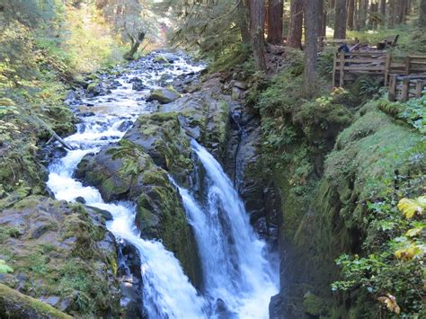 Viewing Nature With Eileen Lake Crescent And Sol Duc Falls