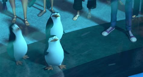 Penguins Of Madagascar Screencap Fancaps