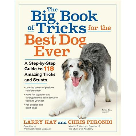 Big Book Of Tricks For The Best Dog Ever Hardcover