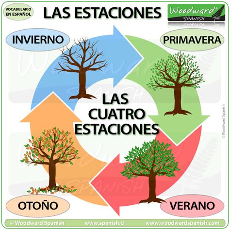 Seasons In Spanish Las Estaciones Del Año Woodward Spanish