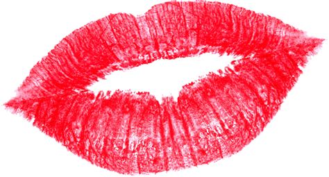 We did not find results for: Lip balm Clip art - lips png download - 1280*691 - Free ...