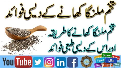 Chia Seeds Ka Meaning In Urdu