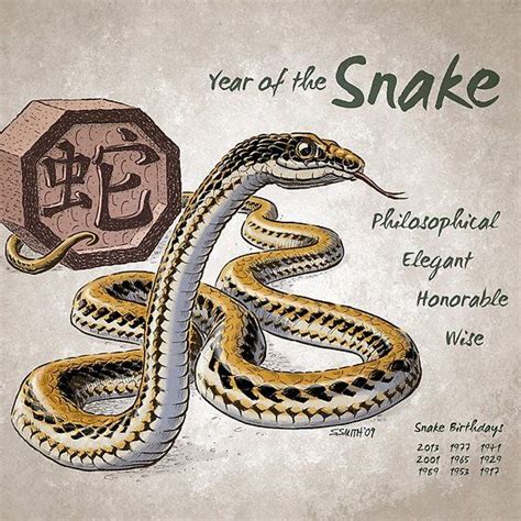 Year Of The Snake Calendar White Chinese Astrology Year Of The
