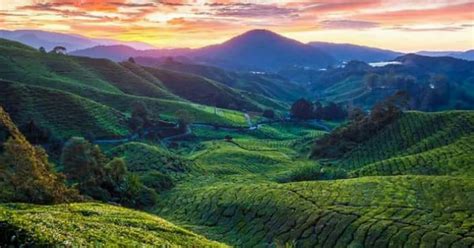Most Beautiful Places in the World | Best Time To Visit Malaysia ...