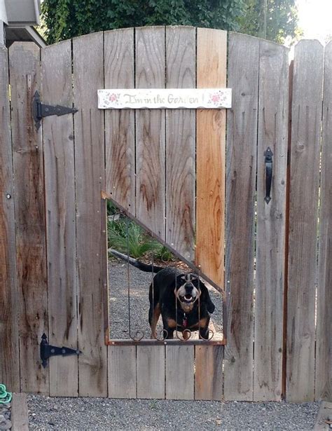 25 Best Cheap Backyard Fencing Ideas For Dogs In 2020 Backyard Fences