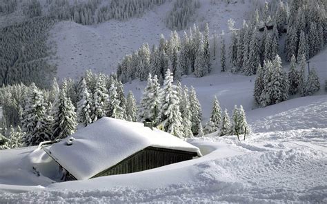 Wallpaper House Snow Snowdrifts Roof Road Traces Trees