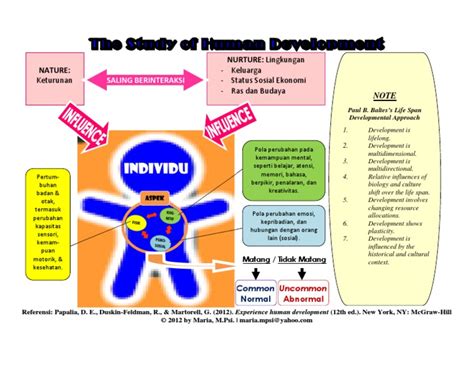 Mind Map The Study Of Human Development