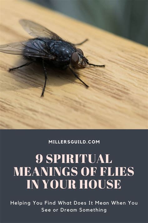 9 Spiritual Meanings Of Flies In Your House