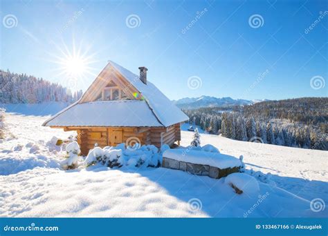 Sunny Winter Nature Stock Photo Image Of Beautiful 133467166