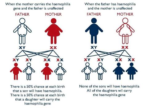 Hemophilia is a rare disorder in which the blood does not clot normally. Haemophilia : The Royal Disease of Tainted blood — Steemit