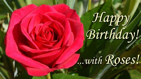 Happy Birthday Song With Roses Beautiful Flowers Pictures Wishing