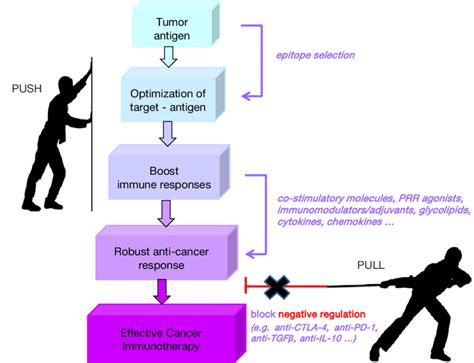 In such a method, funds are pulled from the customer's account by the merchant in order to proceed with the sales transaction. The PUSH and PULL approach could optimize anti-cancer ...