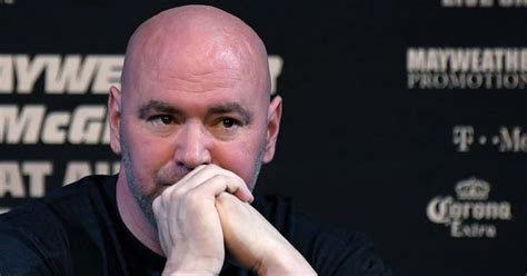 Who Is Dana Whites Wife Ufc Chief Apologizes For Slapping Wife Anne