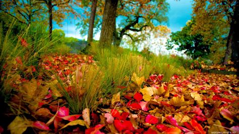 Hd Wallpapers 1080p Nature Autumn Nice Pics Gallery
