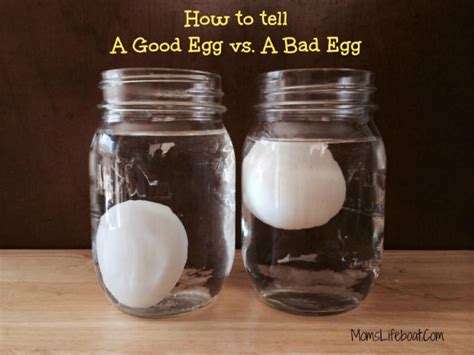 How To Tell If An Egg Is Good Or Bad