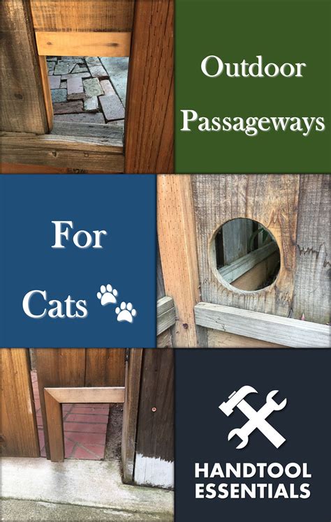 Diy crafts for your cat. DIY Cat Doors & Outdoor Fence Passageways | Hand Tool Essentials | Cat door, Cat diy, Cats