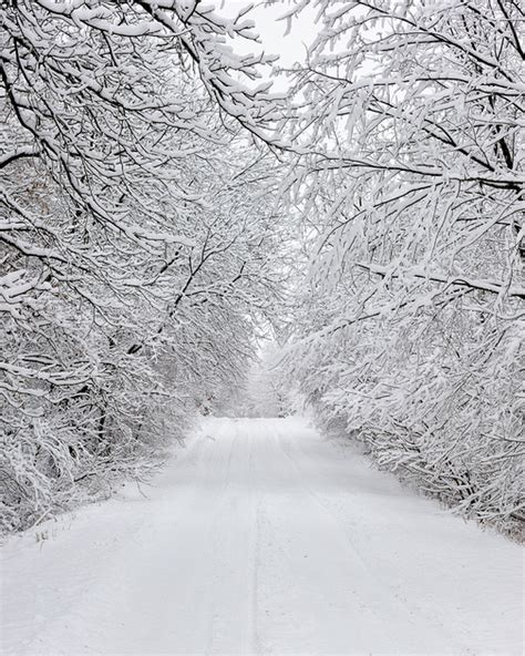 Michigan Nut Photography Winter In Michigan Snowy Winter Road In
