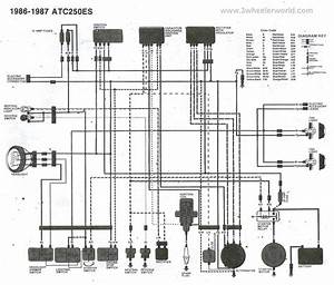 2001 Honda 400ex Wiring Diagram Wiring Diagram