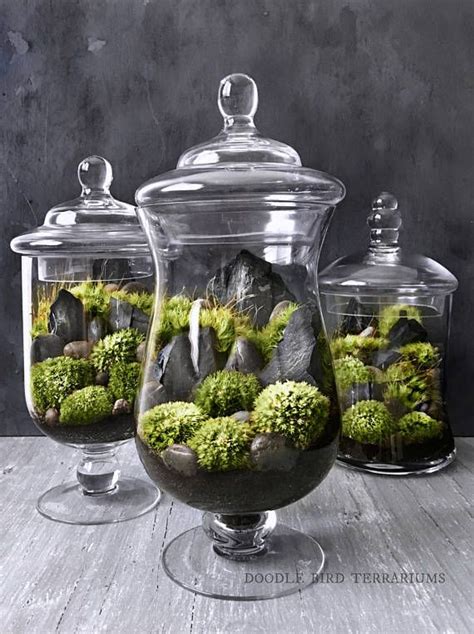 Set Of 3 Coordinated Apothecary Terrariums Showcase A Variety Of Live
