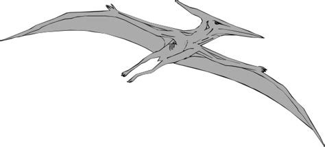 Pterodactyl This Free Clipart Png Design Of Gray Pterodactyl Clipart