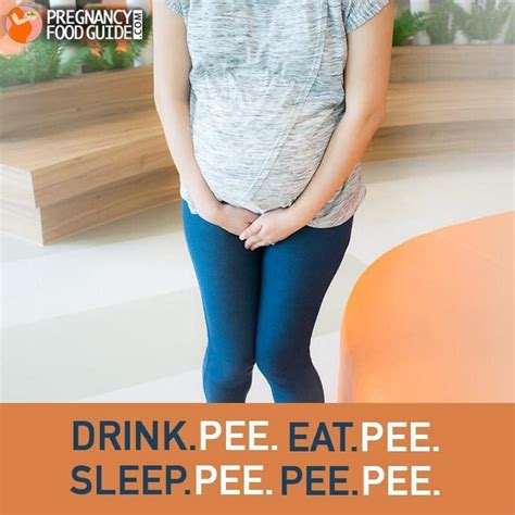 Eat Pee Pregnancy Pregnancy Food Guide