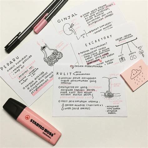 Notesbysophie Auf Instagram Flashcards Notas De Estudio Apuntes