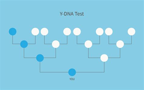 5 Things You Need To Know About Taking An Ancestrydna Test