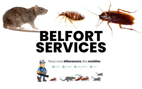 Belfort Services DÉratisation Pest Control 3 Rue Des Forges Paris