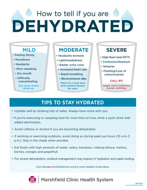 Dehydration Stay Hydrated When In The Heat Shine365