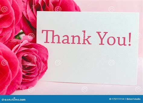 Thank You Beautiful Flowers In Pot With Message Card Stock Image