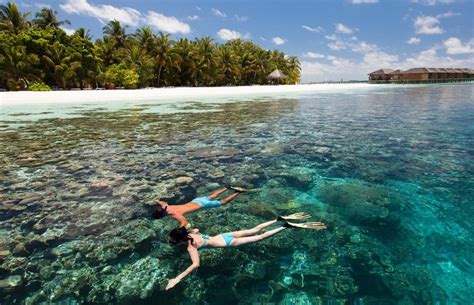 Best Maldives Resorts For Snorkeling At House Reef